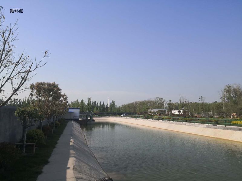 China Shandong Xingshun New Material Co., Ltd. Profiel van de onderneming 